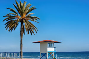 Avon-by-the-Sea with Barbara Scaffidi