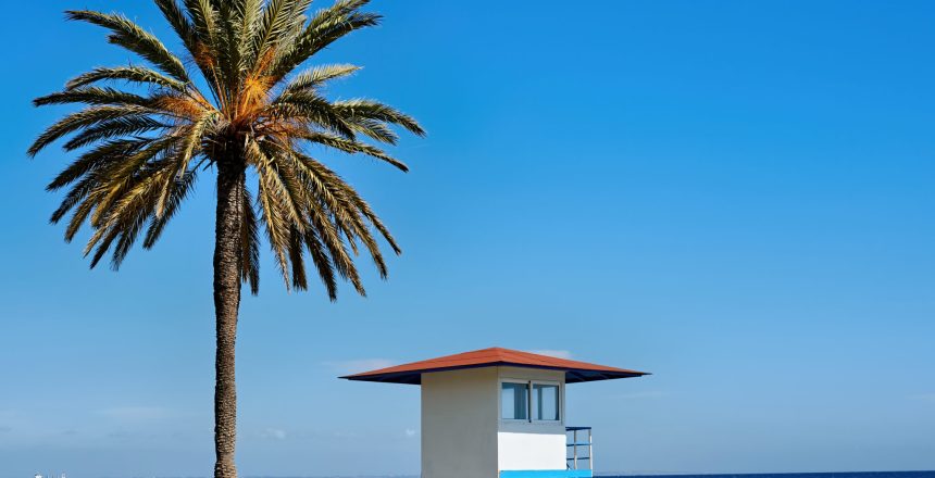 beach-with-big-palm-tree-sunny-day-2048x1365